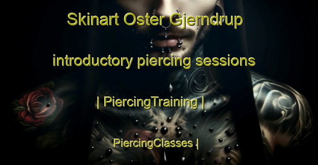 Skinart Oster Gjerndrup introductory piercing sessions | PiercingTraining | PiercingClasses | SkinartTraining-Denmark